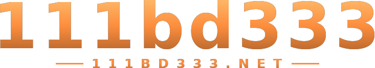 111bd333 logo